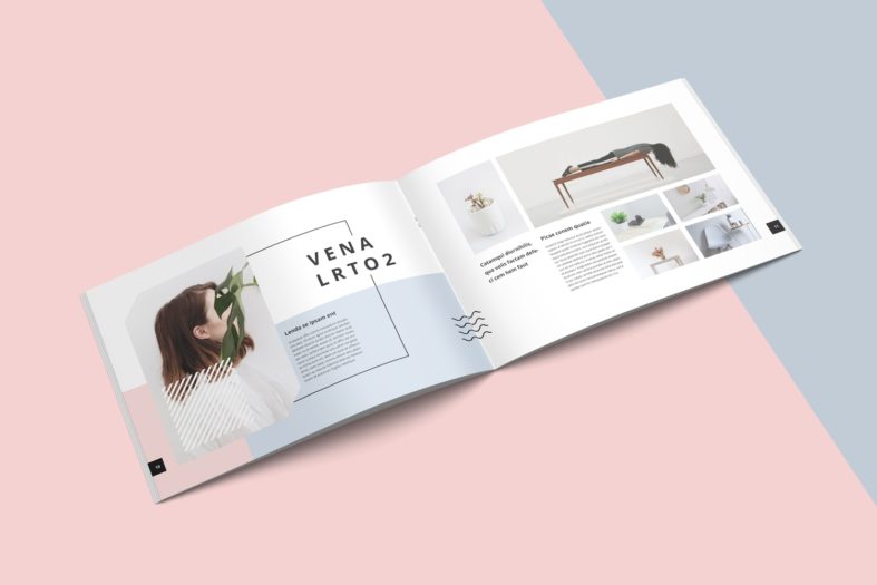 Free Portfolio Layout